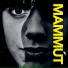 Mammút