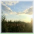 Banfi