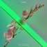 Flume & Kai