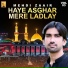 Mehdi Zaair