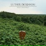 LUTHER DICKINSON - Rock 'n Roll Blues (2014)