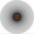 Flimmer