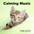 Keep Calm Music Collection