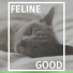 Frank Piano, Direction Relax