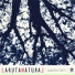 Damien Poots feat. Fran Cossavella, Mauricio Dawid
