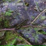 Natur 2
