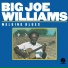 Big Joe Williams