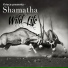 Shamatha