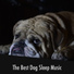 Relaxing Doggy Sleep