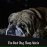Relaxing Doggy Sleep