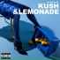 Mr. Kushgang
