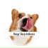 Doggy Calm