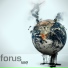 Forus
