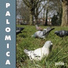 Palomica