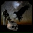 Solitude Ravencrow