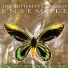 The Butterfly Chillout Ensemble