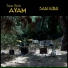 Taner Öngür feat. Avam