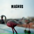 Magnus feat. Tim Vanhamel