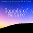 Nature Sounds Associated Artists