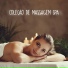 Sexual Piano Jazz Collection