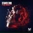 Stance DNB