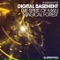 Digital Basement