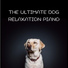 Dog Relaxation Piano