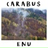 Carabus feat. Francesca Motta