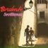 Bordon-4