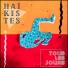 Haïkistes