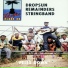 DROPSUN REMAINDERS STRING BAND