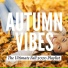 Vibe2Vibe