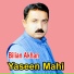 Yaseen Mahi