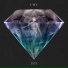 CMX