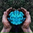 Pav