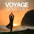 Voyage Solo