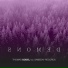 Thomas Godel feat. SameDay Records
