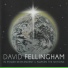 David Fellingham