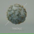 TANTALE