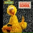 Big Bird, Sesame Street's Susan