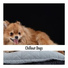 Calming Dog Relaxation