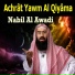 Nabil Al Awadi