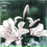 Plutus feat. Da Ne Ya