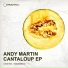 Andy Martin