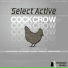 Select Active