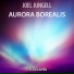Joel Jungell
