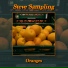 Steve Sampling