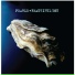 Greg Pearle, John Illsley