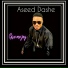Aseed Dashe