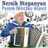 Nersik Stepanyan